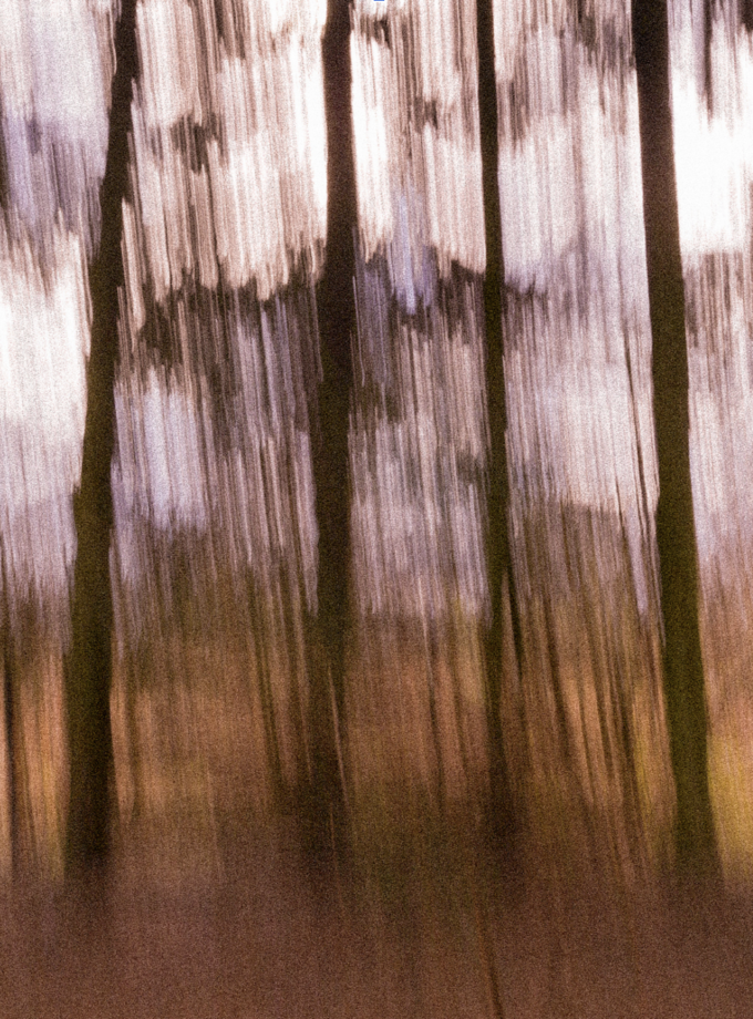 Linie