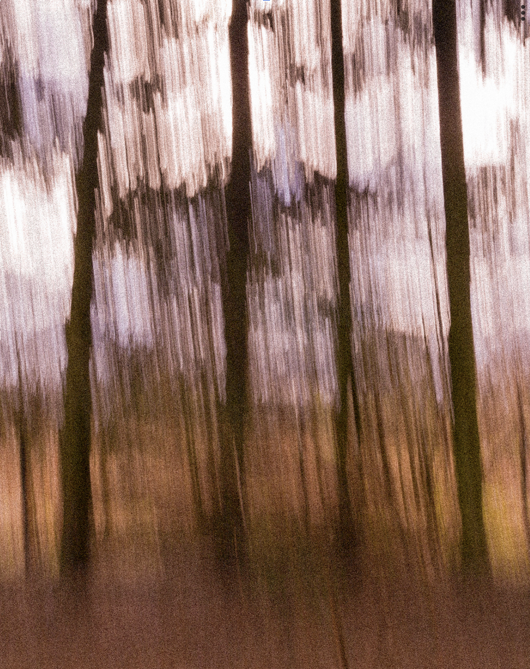 Linie