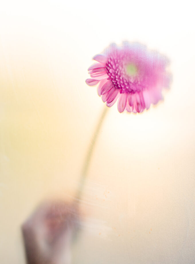 Flowerhand