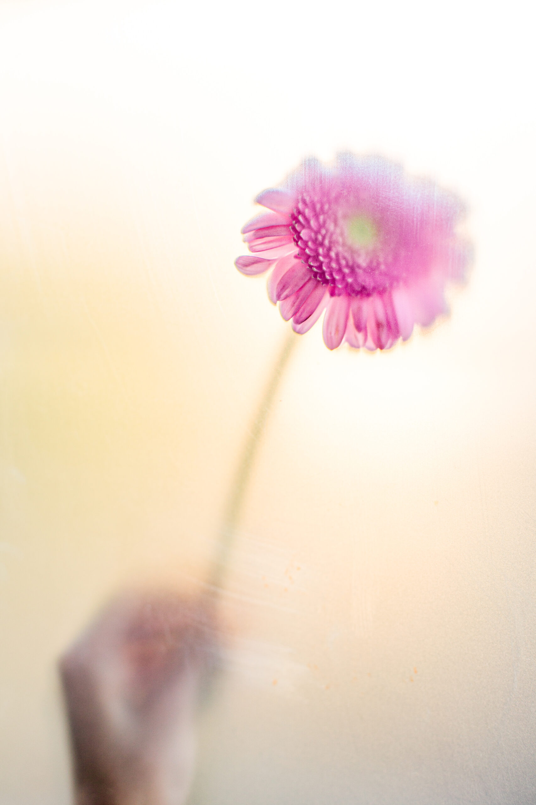 Flowerhand