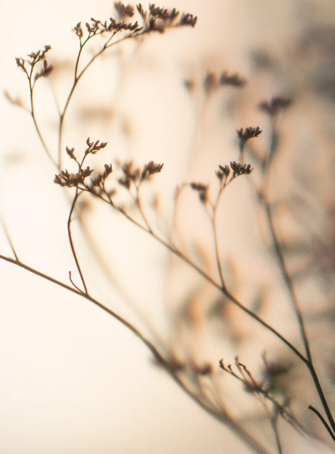 Nature beige