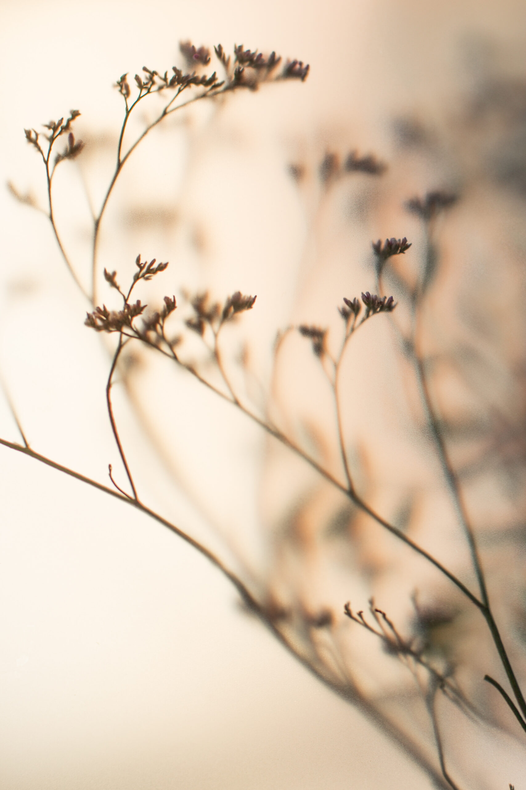 Nature beige