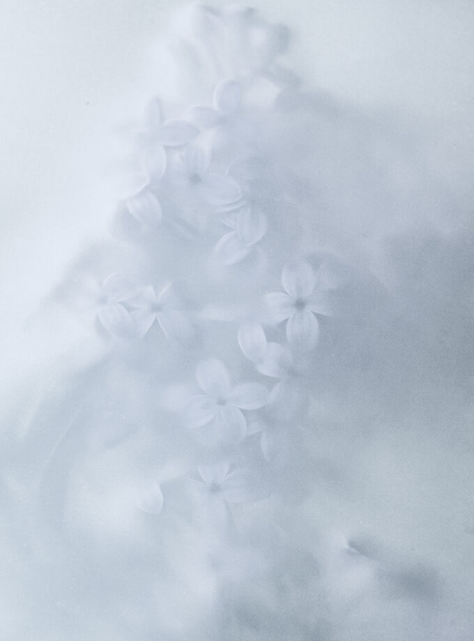 Glow nature